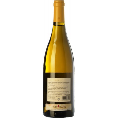 Acustic Blanc