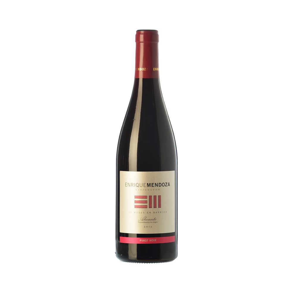 Enrique Mendoza Pinot Noir 2009